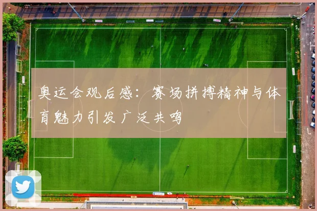 奥运会观后感：赛场拼搏精神与体育魅力引发广泛共鸣