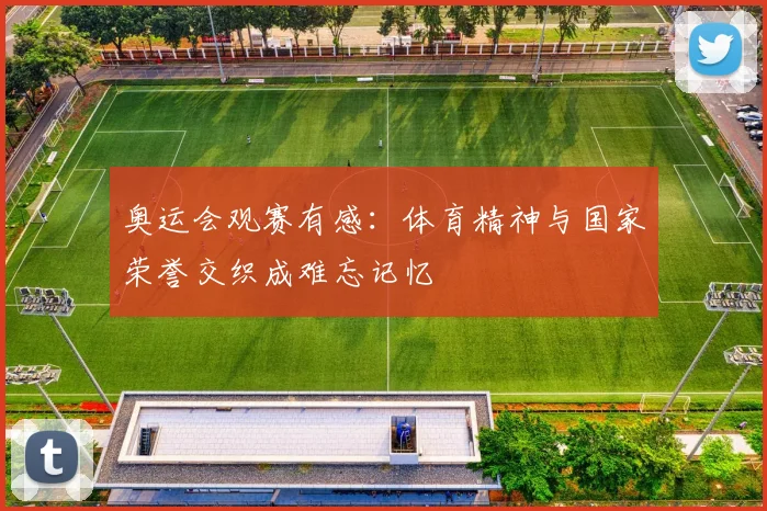 奥运会观赛有感:体育精神与国家荣誉交织成难忘记忆