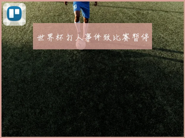 世界杯打人事件致比赛暂停