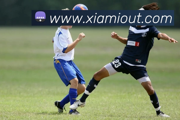 leyu乐鱼中国官方网站平台生态图