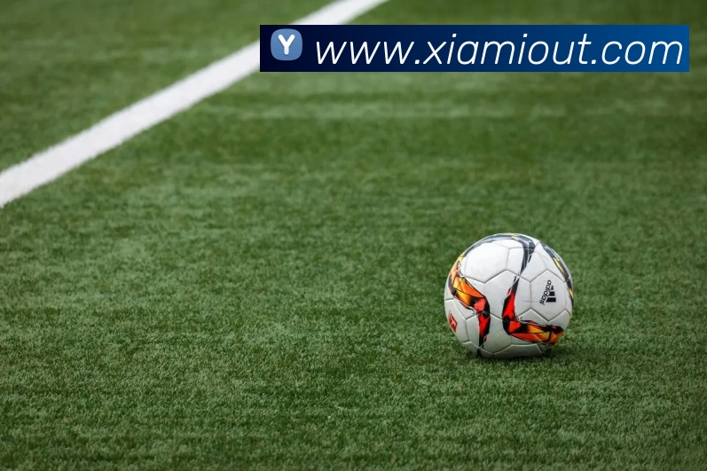 leyu乐鱼中国官方网站全站App leyu乐鱼中国官方网站全站App