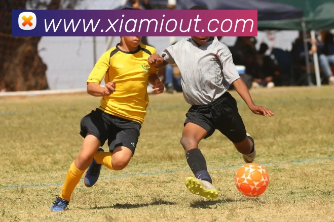 辅助工具 辅助工具